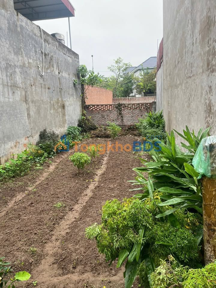 Đất nền Mặt đường 223 Hưng Hà, Thái Bình - 75m² - Sổ đỏ sẵn, View sông