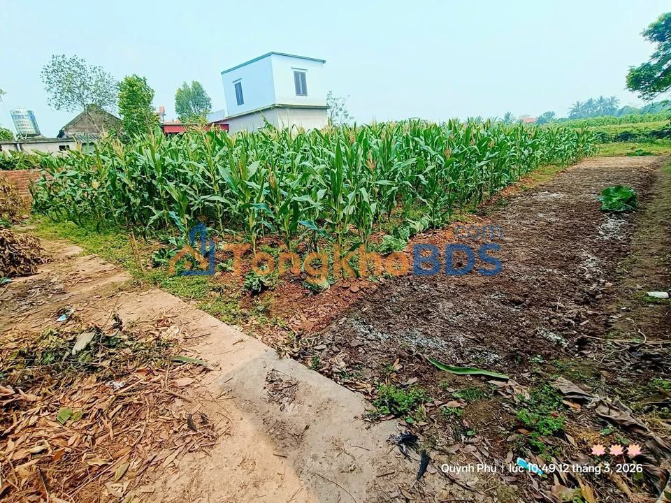 Đất nền 177m² Xã Châu Sơn, Quỳnh Phụ - Giá chỉ 4xx Triệu