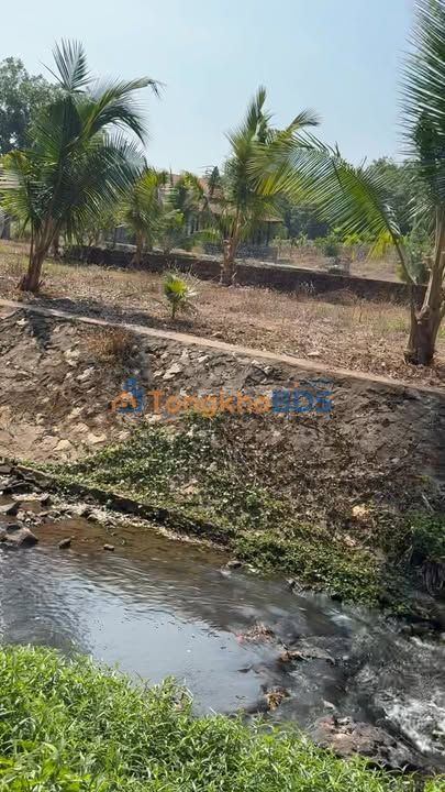 Bán Gấp Nhà Vườn 5000m² Tại Ngãi Giao - Vườn Trái Cây Trĩu Quả, Sổ Hồng Sẵn Sàng