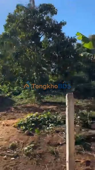 Đất Nền Pơng Drang, Đắk Lắk - 495m² Sổ Đỏ, Gần TL8