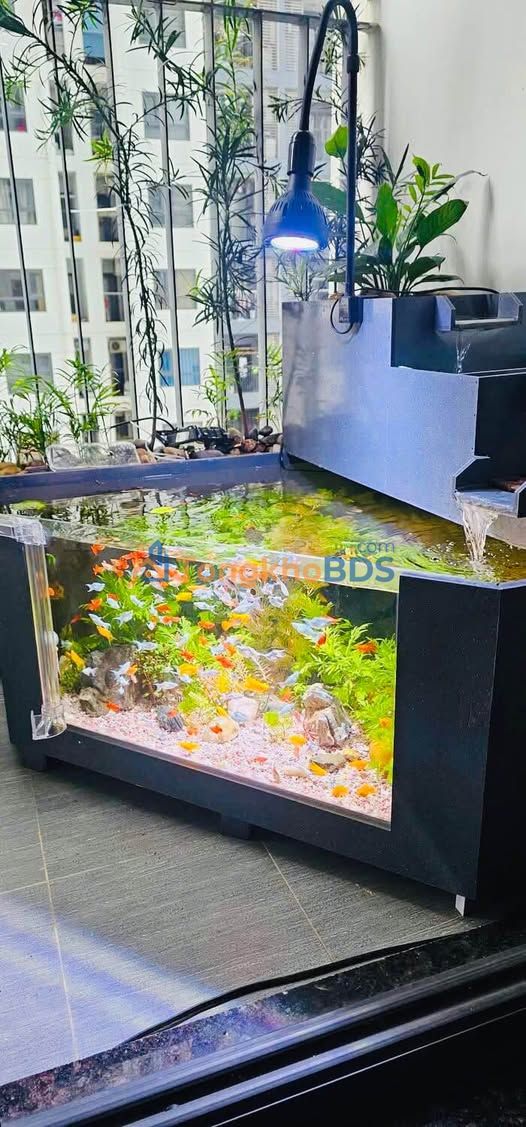 Chung cư Thăng Long Capital Hoài Đức - Căn 69.9m² 2PN, View đẹp, Giá tốt