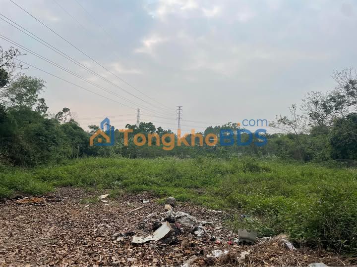 Bán Đất Vườn Phú Lộc, Phù Ninh 2000m² - Sổ Đỏ Rõ Ràng