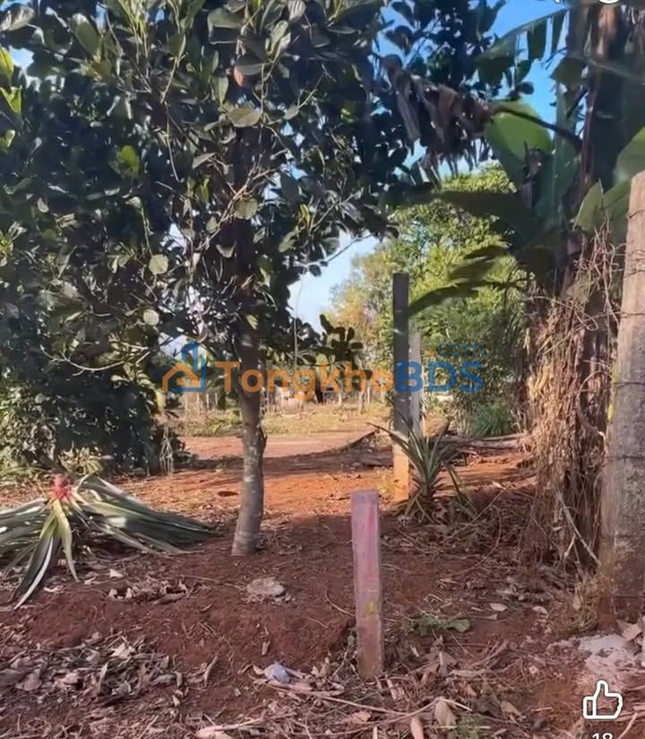 Đất Nền Thổ Cư 145m² Hẻm 468 Trường Sơn, Sa Thầy - Giá Tốt