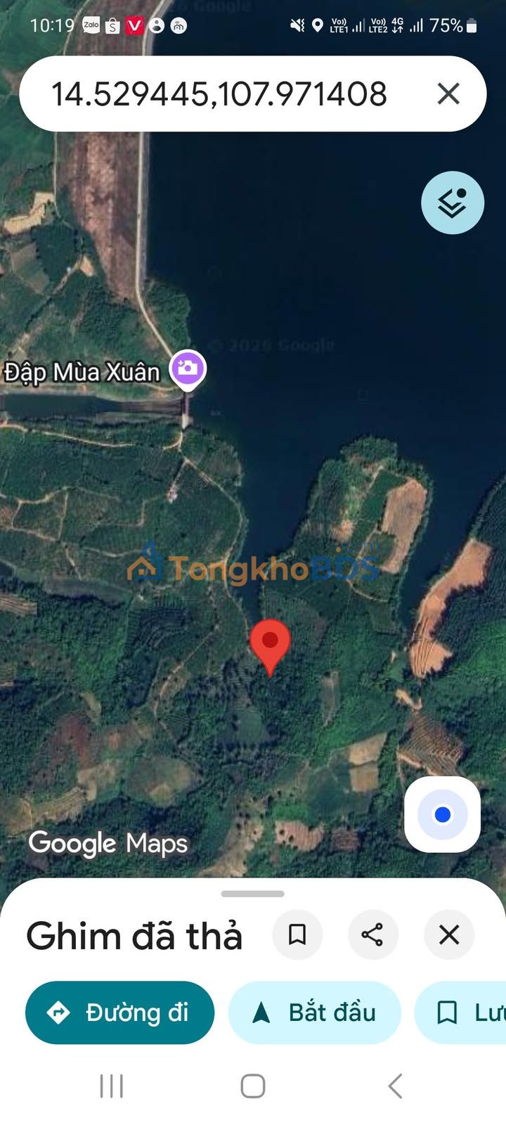 Bán Gấp 9547m² Đất Rẫy Sát Hồ Đăk Wi - Đăk Hà, Kon Tum