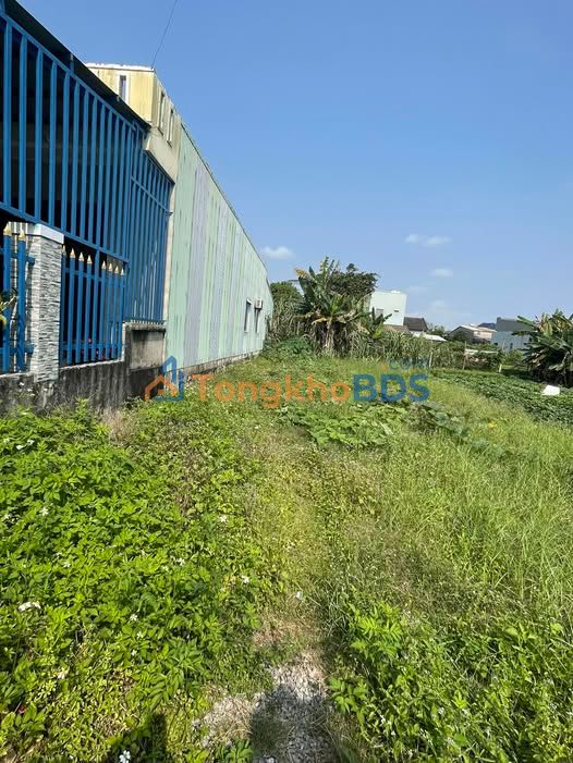 Bán Đất 117m² Phường Điện Nam Đông, Điện Bàn - Sổ Đỏ Rõ Ràng