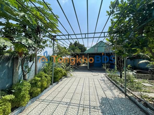 Bán Đất Vườn Củ Chi 570m² - Gần Vành Đai 3, Sổ Hồng Riêng