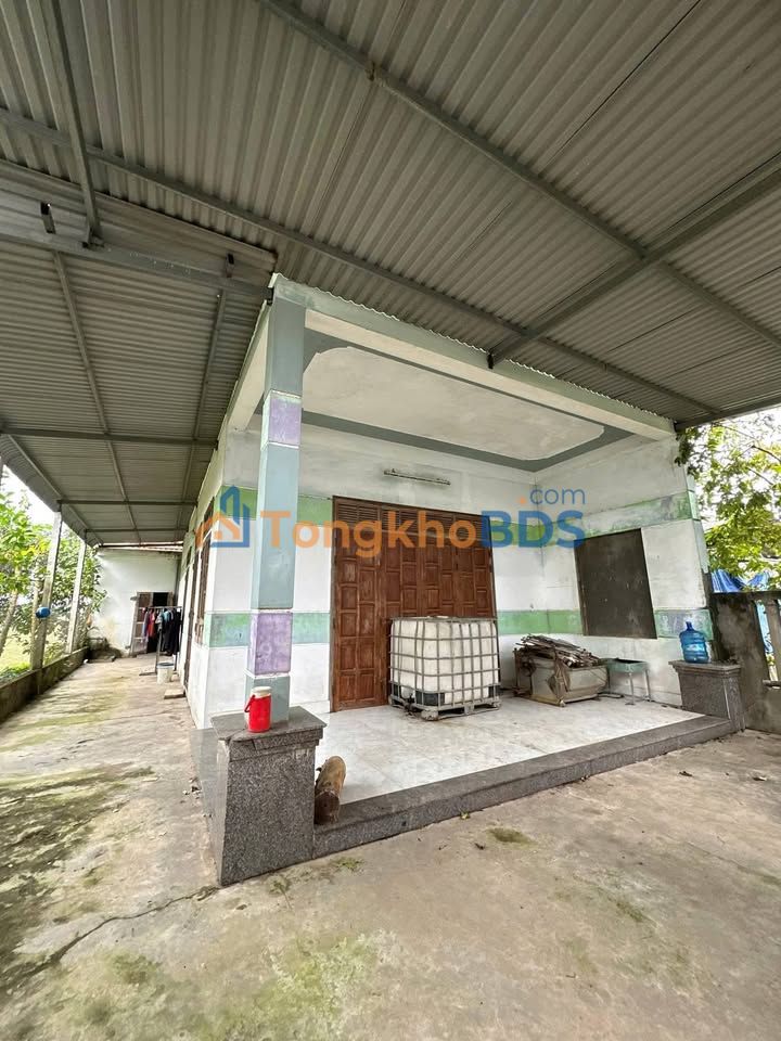 Bán Đất Tịnh Phong Quảng Ngãi 430m² - Vườn Rộng Giá 1.5 Tỷ