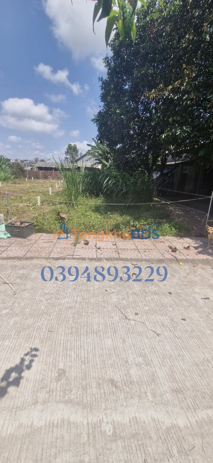 Đất Tịnh Khê, Quảng Ngãi 160m² - Bán Lỗ 390 Triệu, Sẵn Sổ