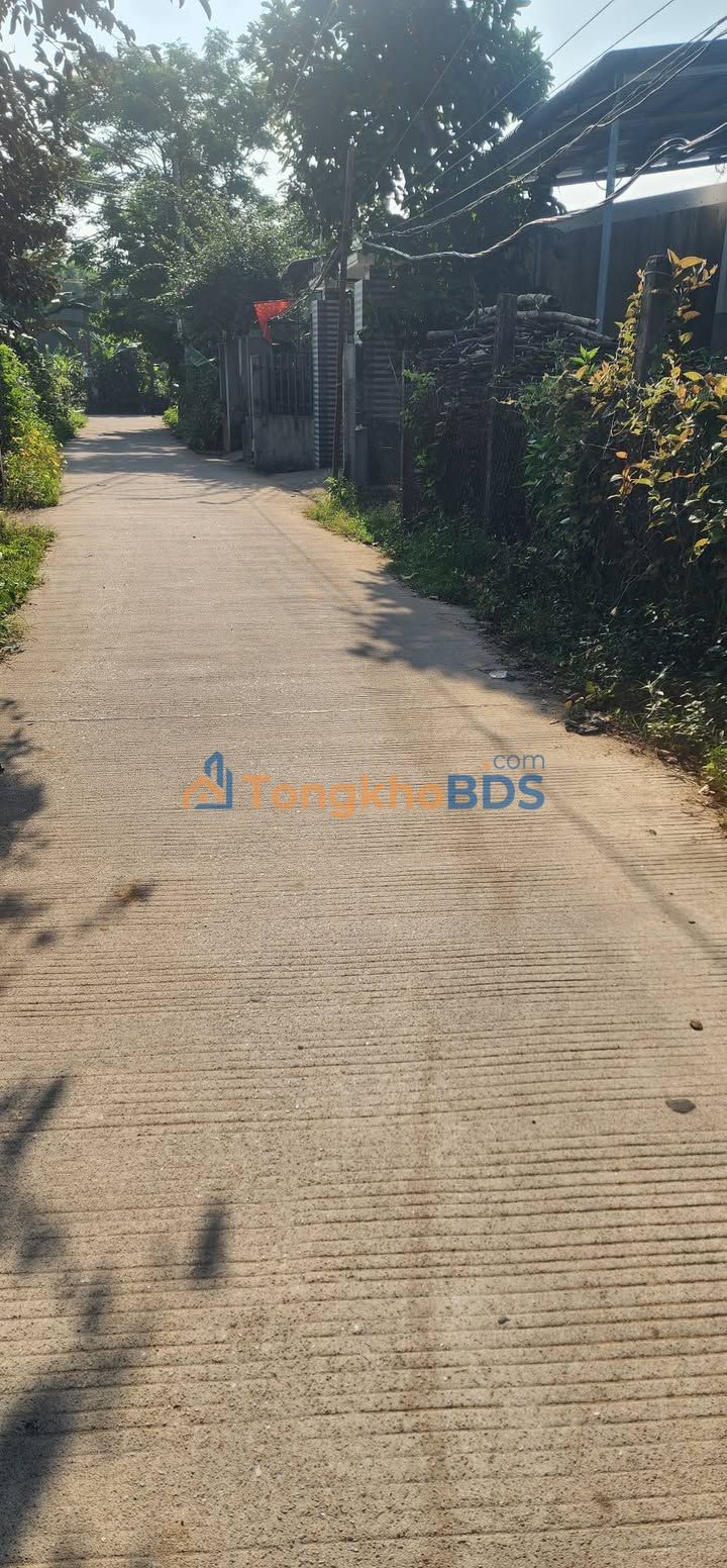 Đất Vàng Bình Sơn 135m² Hướng Tây - Sẵn Sàng An Cư Lâu Dài