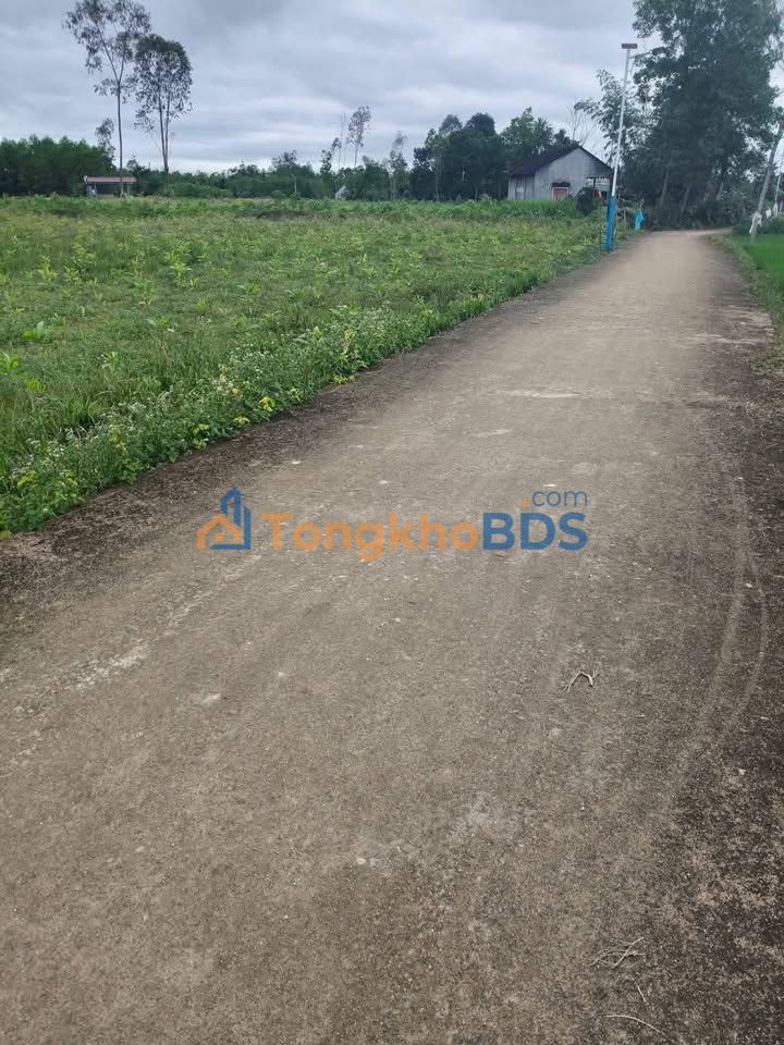 Đất Vườn 1440m² Sơn Tịnh, Quảng Ngãi - Sẵn Sàng Xây Dựng