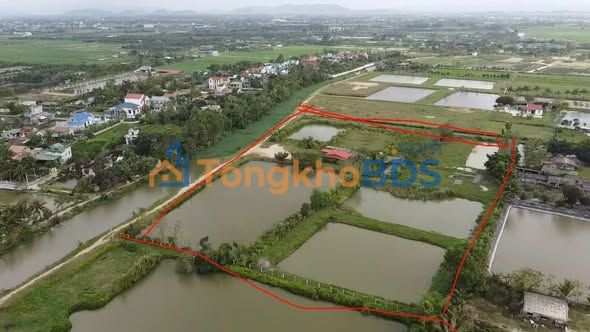 Bán Gấp Đất Trang Trại 11000m² Hòa Lộc, Thanh Hóa - Mặt Tiền Rộng
