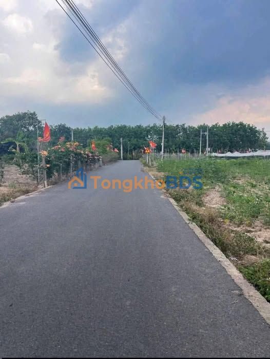 Đất Vườn 4700m² Mặt Tiền Nhựa An Linh, Phú Giáo - Giá 600 Triệu