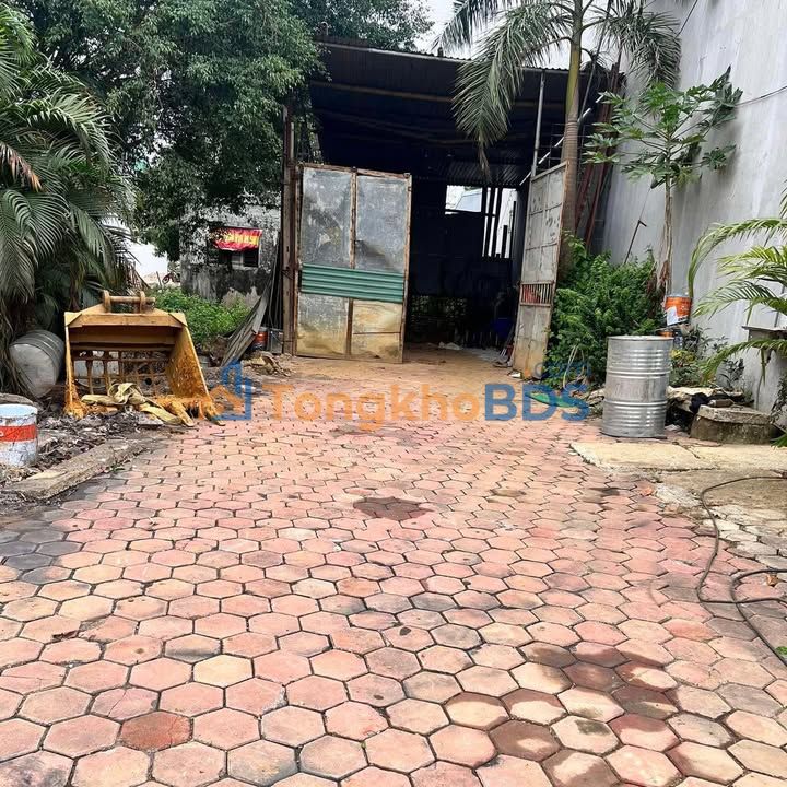 Đất nền Tam Điệp 100m² hướng Nam - Vị trí đắc địa Tổ 7, Tây Sơn