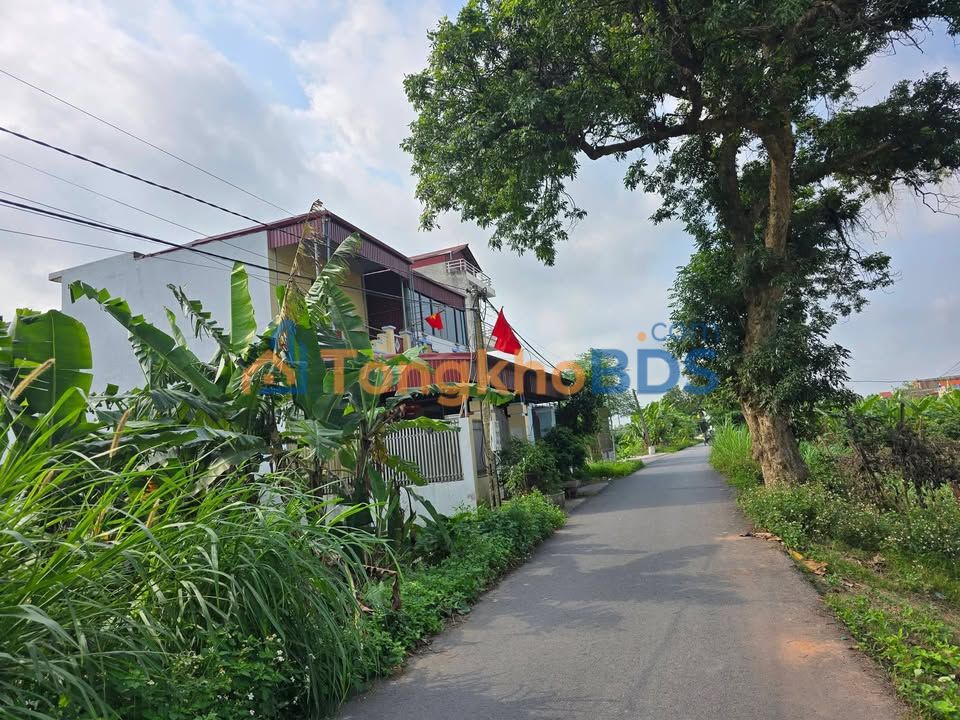 Bán 2 Lô Đất Nền 100m² Mặt Tiền 5m Xã Tân Tiến, Văn Giang, Hưng Yên - Giá 1.5 Tỷ/Lô