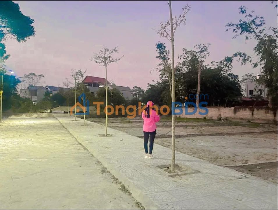 Đất Nền Thường Tín 120m² - Sổ Đỏ Chính Chủ, Gần Ngã Tư Cổ Tiết