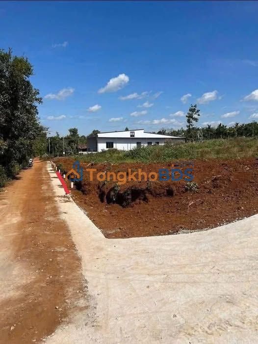 Đất Mặt Tiền Đường Hải Âu, Buôn Hồ - 140m² Giá 685 Triệu