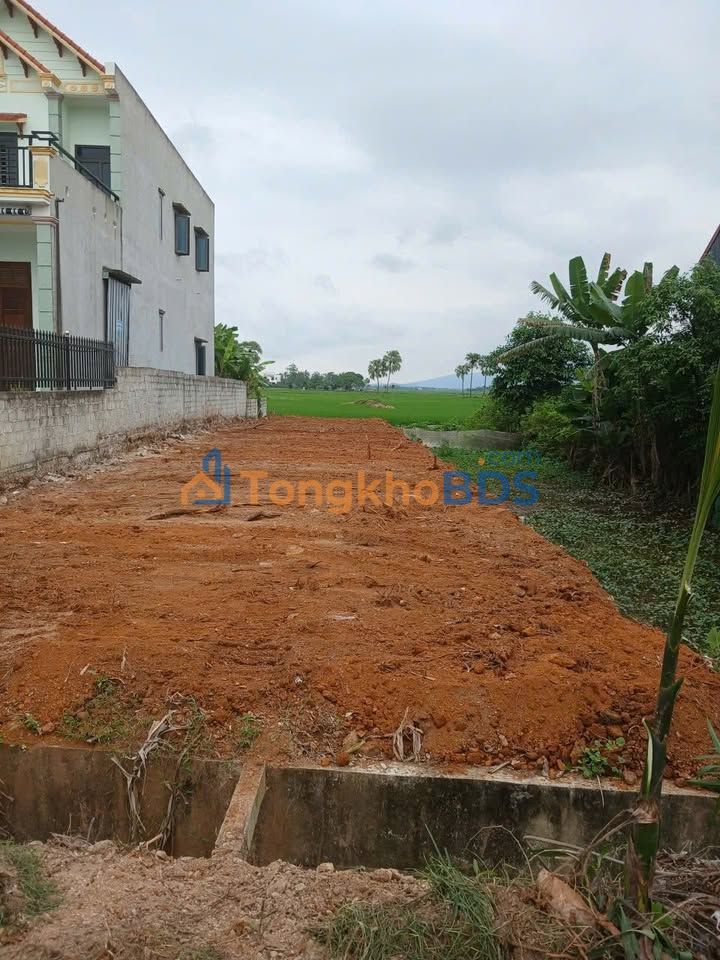 Đất Nền Mặt Tiền 240m² Xã Tương Văn, Nông Cống - Giá 1.25 Tỷ