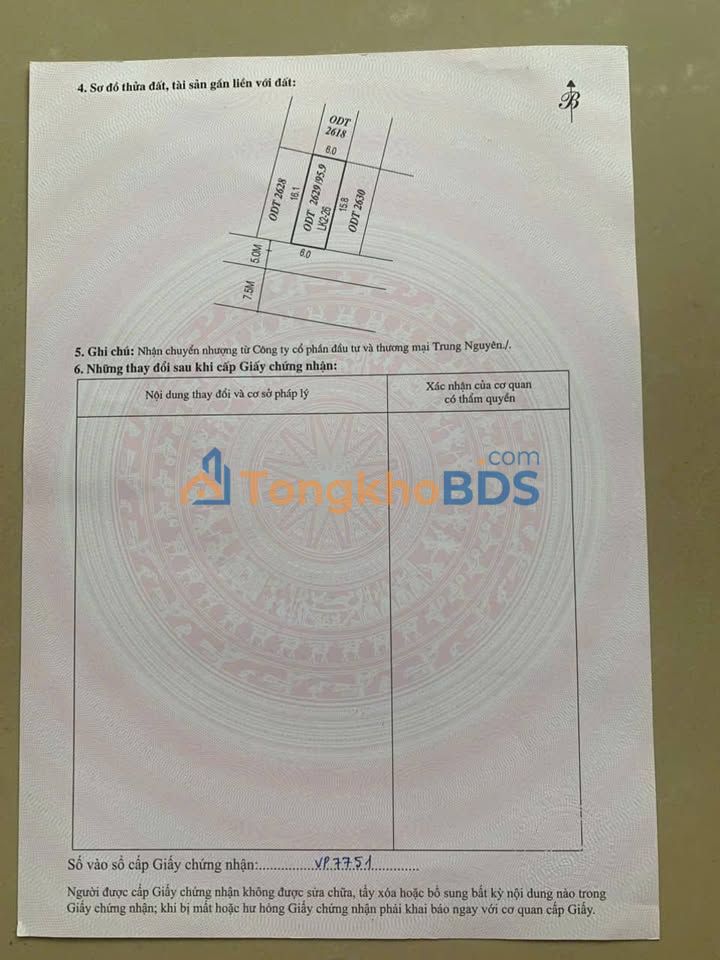 Bán Gấp Đất Nền 96m² Phường Rừng Thông, Thanh Hóa - Sổ Đỏ Sẵn Sàng