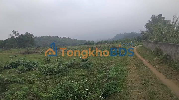 Đất Ba Vì 28800m² - Giá 850 Triệu, Cơ Hội Vàng Đầu Tư