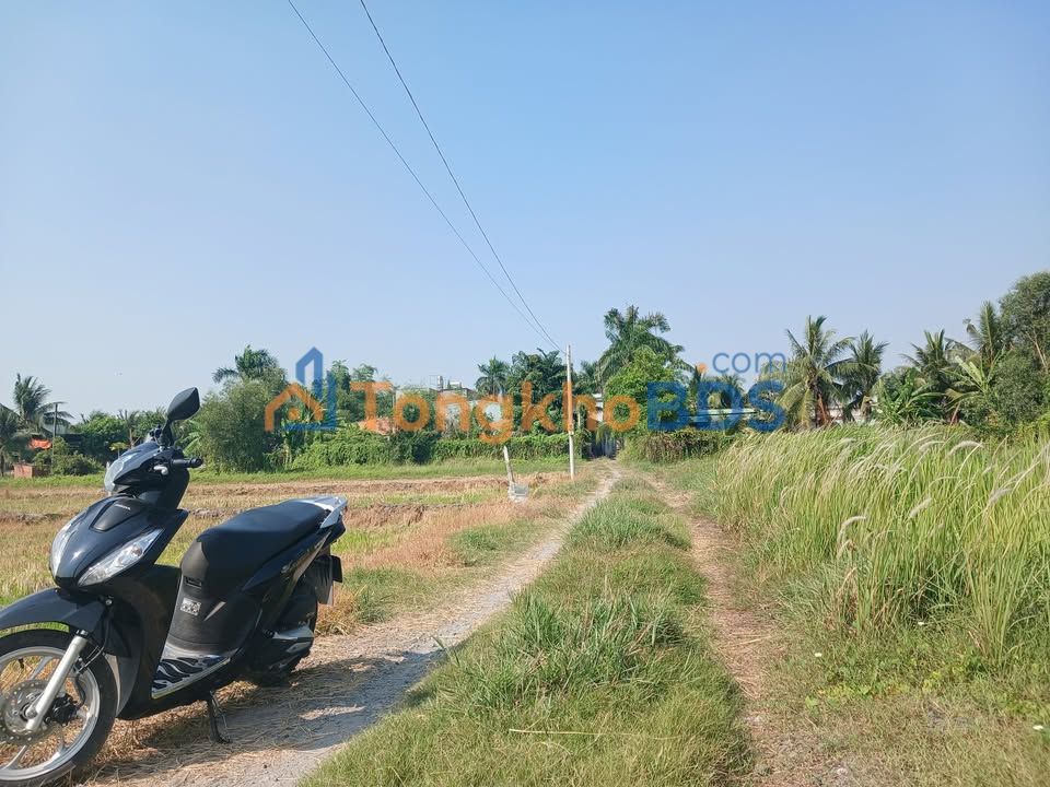 Đất Củ Chi 1000m² Mặt Tiền Đường Xe Tải - Giá Đầu Tư 1.9 Tỷ