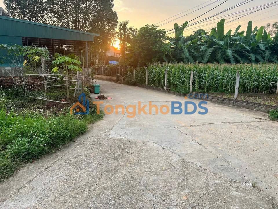 Bán đất Nông Tiến Tuyên Quang 125m² - Đường ô tô, giá 1.1 tỷ