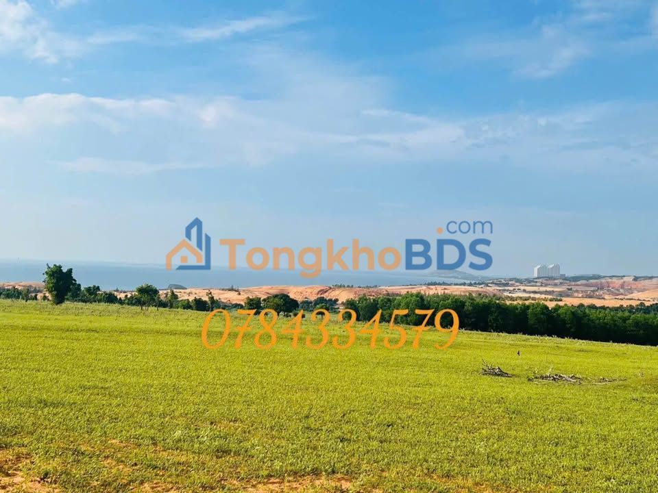 Đất Nền Hòa Thắng 2400m² Cạnh Bàu Trắng - Sổ Thể Hiện Đường, Quy Hoạch TMDV