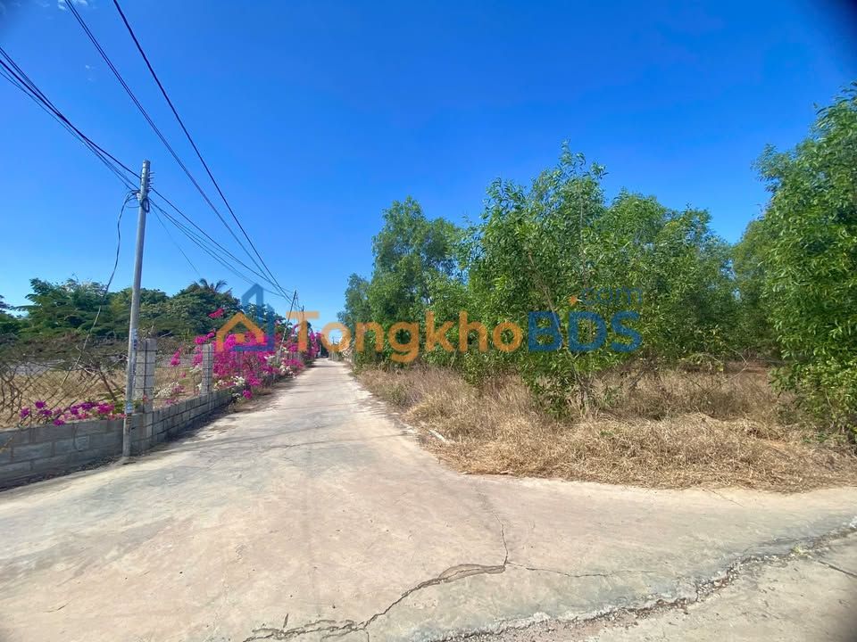 Đất Vườn 2ha Mặt Tiền Đường Sỏi, Gần Cao Tốc Phan Thiết - Đầu Tư Sinh Lời