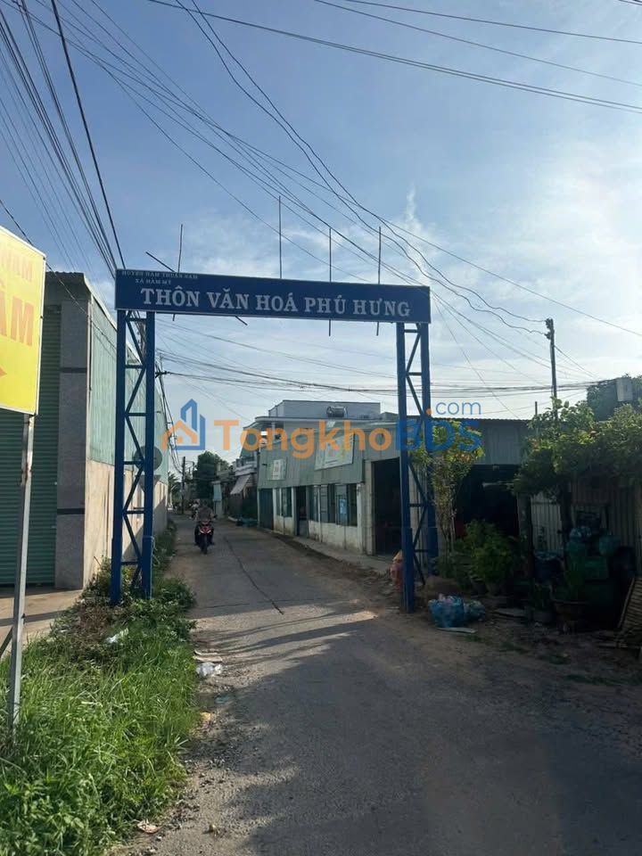 Bán Đất Thổ Cư 295m² Mặt Tiền Rộng, Sổ Hồng Riêng Tại Hàm Mỹ, Bình Thuận