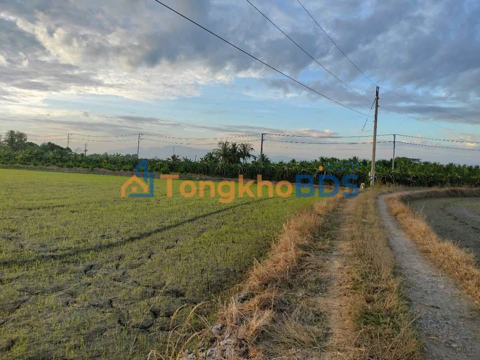 Bán Gấp Đất Vườn 3000m² Hàm Đức - Tiềm Năng Sinh Lời Cao