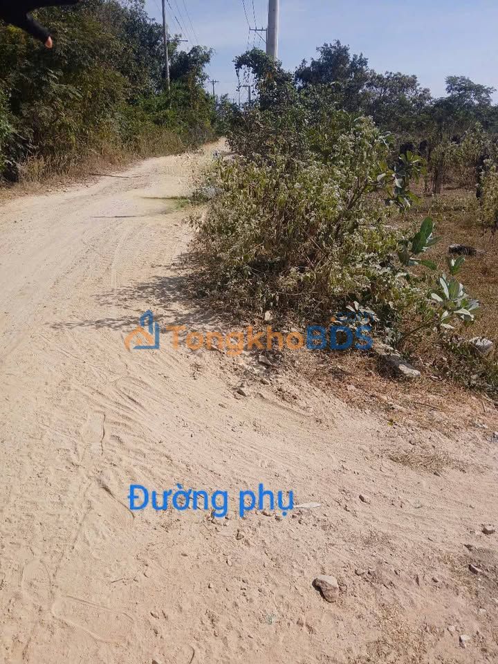 Đất Farm Hàm Liêm 130.000m² - Cơ hội đầu tư sinh lời kép