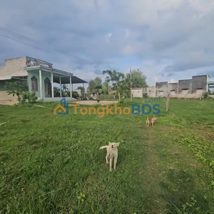 Đất Vườn Bình Lâm 360m² Giá 500 Triệu - Sổ Đỏ Sẵn Sàng