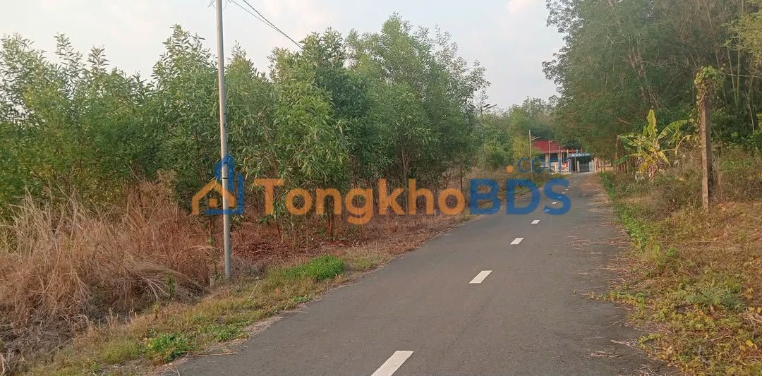 Đất Nền Trục Chính Ấp Phước Tiến, Bù Đăng - Sổ Hồng Thổ Cư 100m² Giá Chỉ Từ 2xx Triệu