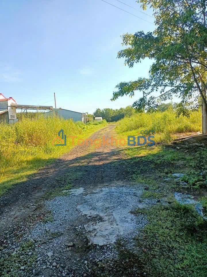 Bán Đất Đồng Xoài 1540m² Đường 17m, Tân Xuân - Giá 8.x Tỷ