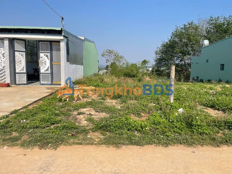 Đất Nền Ngọc Hồi 375m² - Sổ Đỏ Thổ Cư, Ngay Trung Tâm