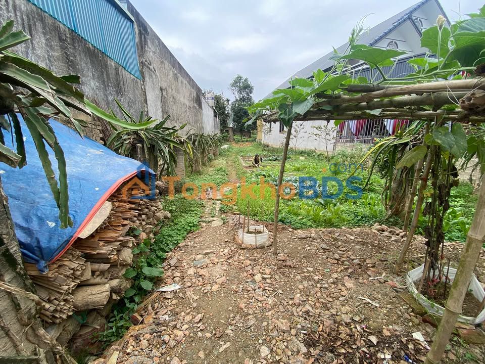 Đất Nền Tân Long - 92m² - Mặt Tiền 5.5m - Sổ Thổ Cư - Giá 1 Tỷ xx