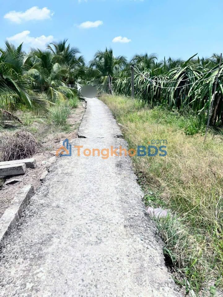 Bán Gấp Đất Vườn Tân Bình Thạnh, Tiền Giang - 3512m² Giá Tốt