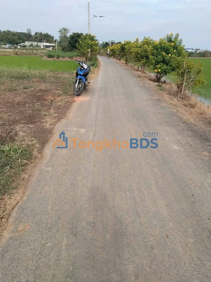 Bán Đất Nền Mặt Tiền Đường Nhựa Sơn Qui B, Gò Công - 466m² Sổ Hồng Riêng