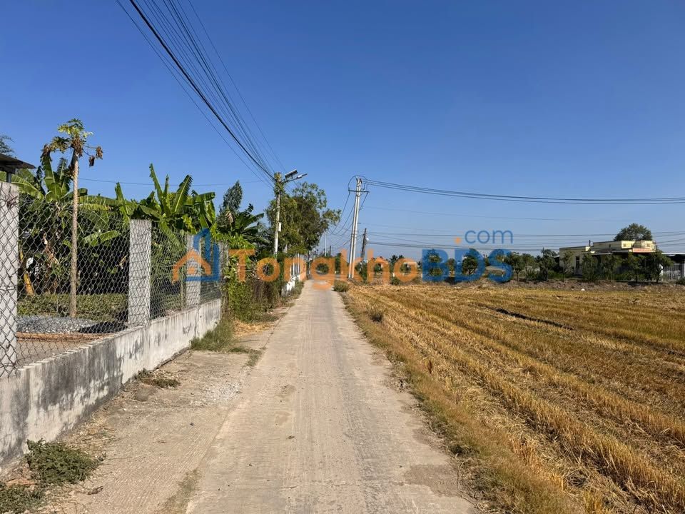 Đất nền thổ cư Đồng Tháp 250m² giá 650 triệu - Sổ đỏ sẵn sàng