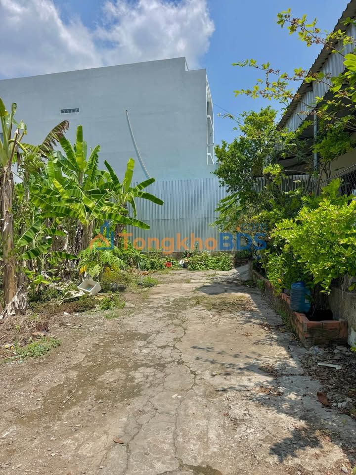 Đất nền Mỹ Tho 110m² giá 7xx triệu - Sổ thổ cư, hướng Đông mát mẻ