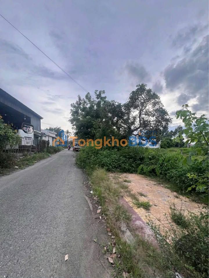 Đất Nền Chợ Gạo Tiền Giang 125m² - Sổ Đỏ Sẵn Sàng Đầu Tư