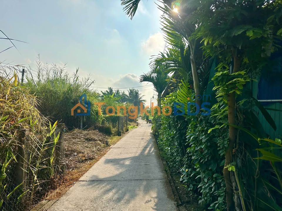 Đất Thổ Cư 100m² Hẻm Bùi Tấn, Tân An - Giá 680 Triệu, Đường Ô Tô