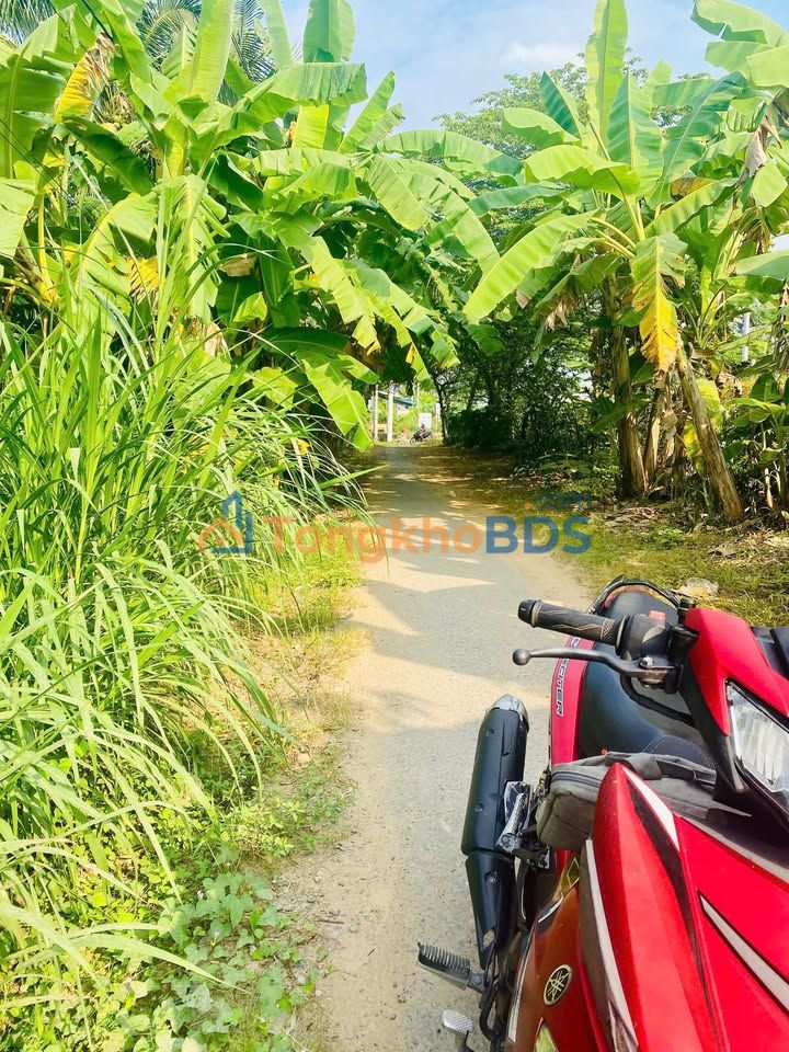 Đất nền Mỏ Cày Nam, Bến Tre - 200m² sát QL60, giá 750 triệu