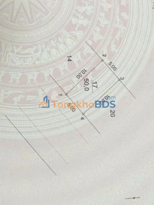 Đất Vạn Phúc Hà Đông 250m² - Kinh doanh sầm uất, Sổ hồng chính chủ