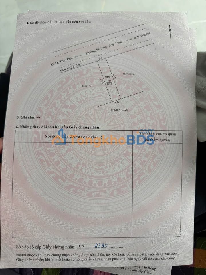 Bán đất 125m² Lương Nham, Yên Dũng - Thổ cư, Vị trí thoáng đẹp