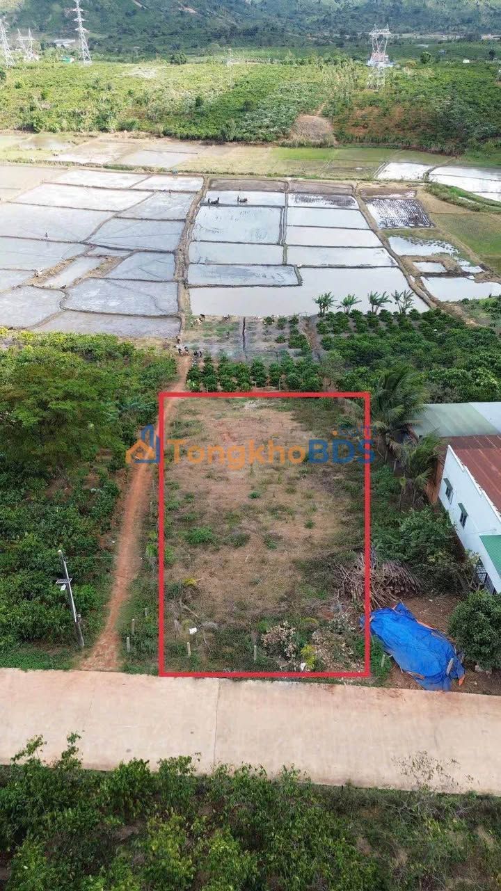 Bán Đất Đinh Lạc, Di Linh 950m² - View Ruộng Thoáng Đãng, Sổ Đỏ Sẵn Sàng