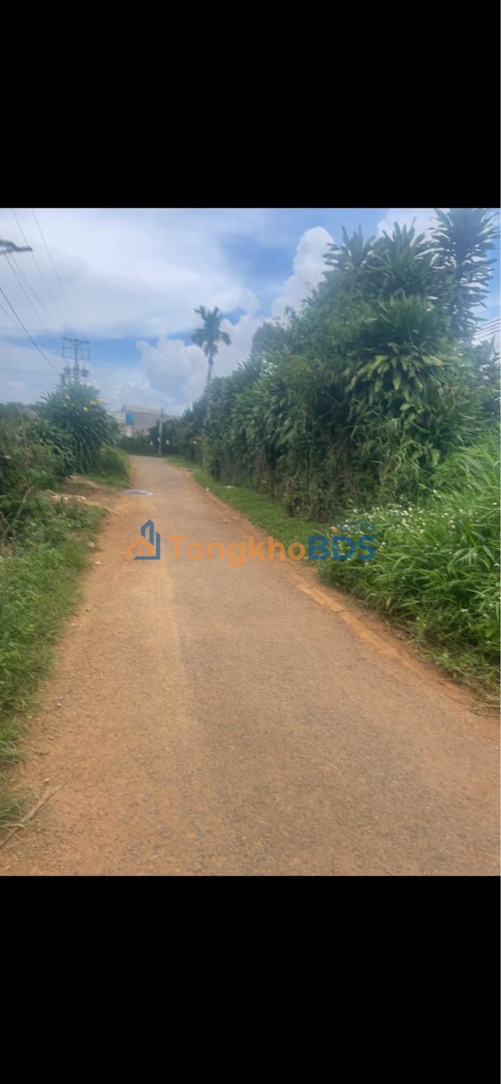 Bán Đất Thổ Cư 16800m² Xã Liên Đầm, Di Linh - Giá 1.3 Tỷ TL