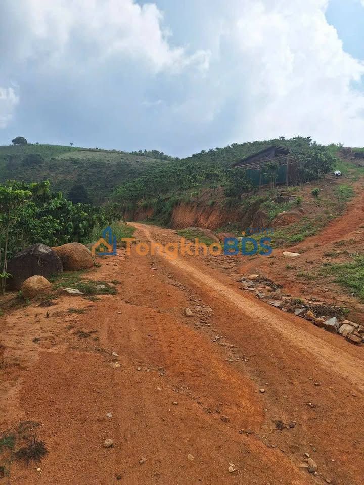 Đất Tà Nung 2000m² - Sổ Sẵn, Giá 850 Triệu, Cơ Hội Đầu Tư