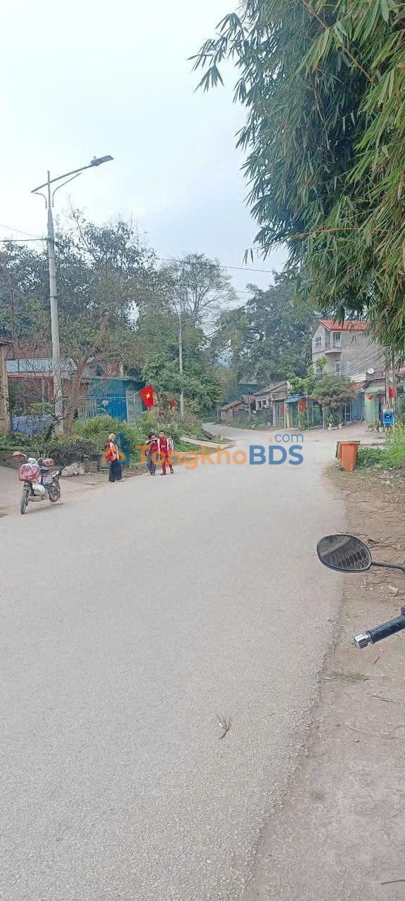 Đất nền mặt đường Trần Đăng Ninh kéo dài, Lạng Sơn - 100m² - Giá 1.2 tỷ