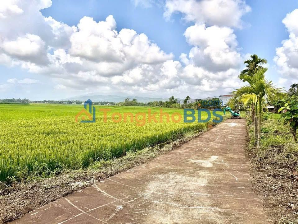 Đất Điện Tiến Quảng Nam 105m² - Chính chủ bán giá 800 triệu, view đồng mát mẻ