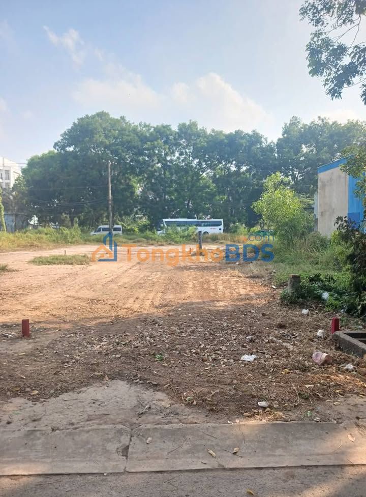 Đất nền Đức Hòa 125m² - Sổ hồng sẵn, MT nhựa 12m, giá 2.15 tỷ